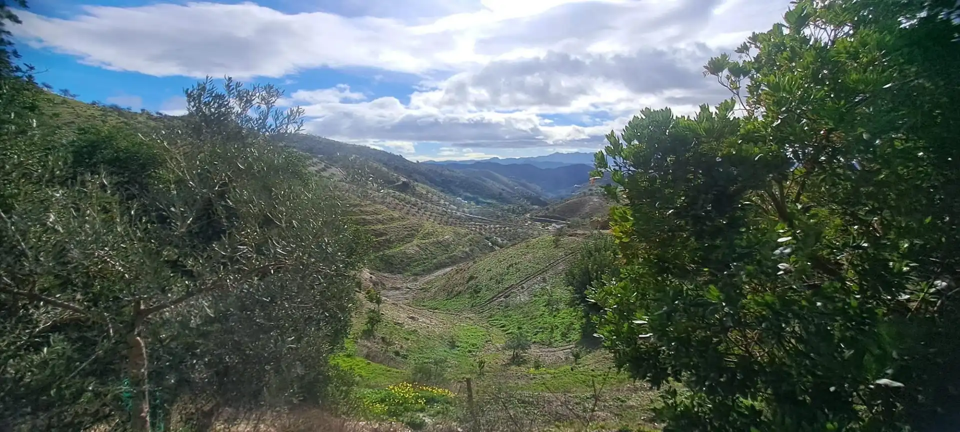 Vista exterior de Residencial en venta en Cártama