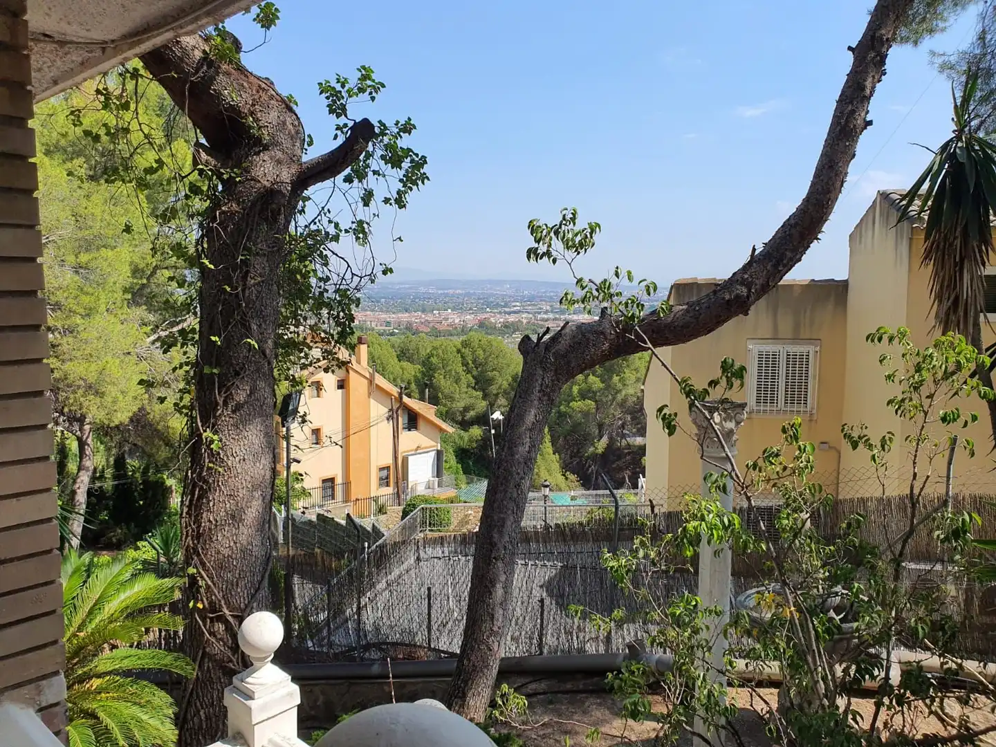 Jardín de Casa o chalet en venta en Murcia con Trastero y Piscina