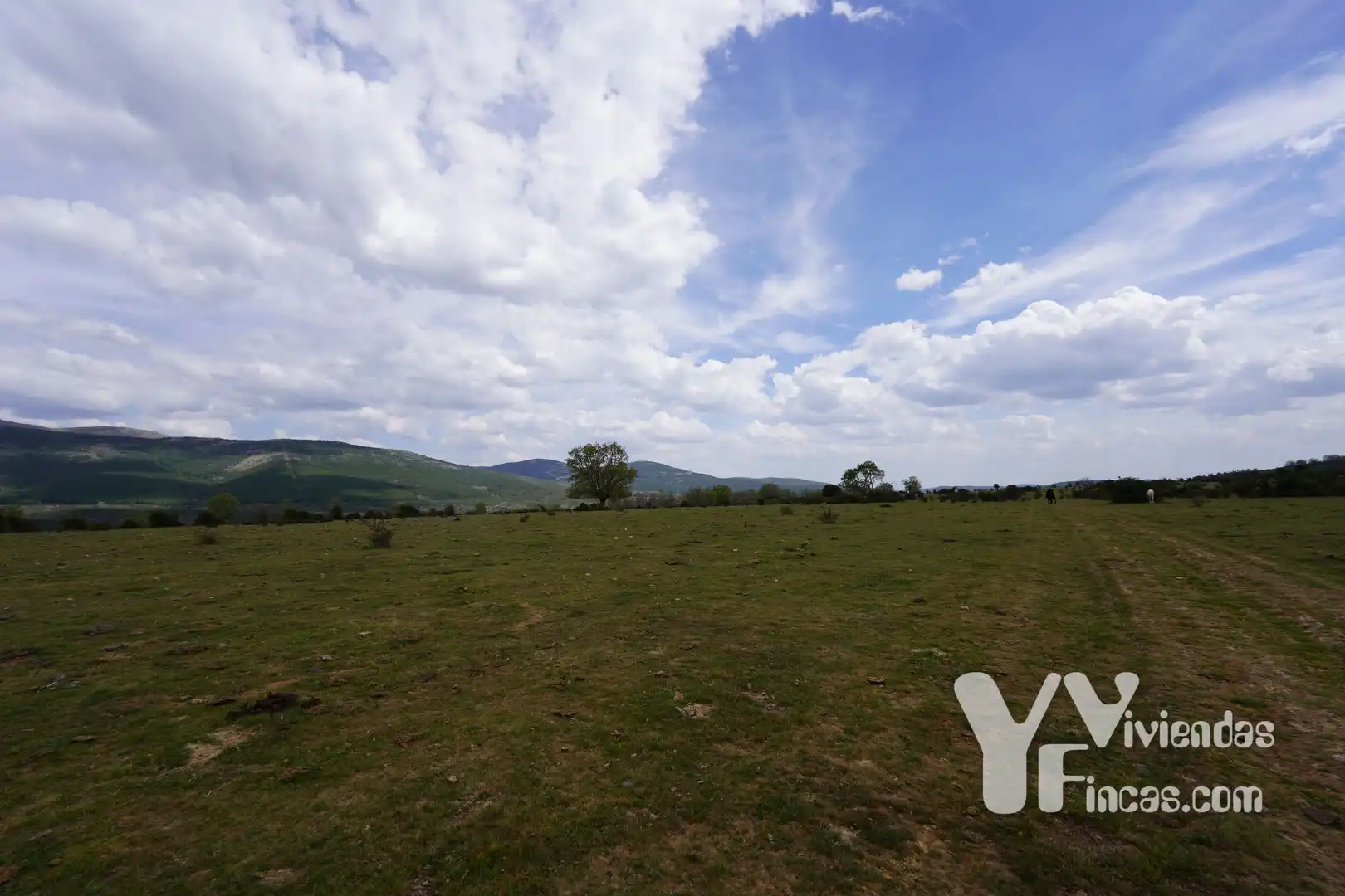 Terreno rústico en venta en Campillo de Ranas, imagen 15