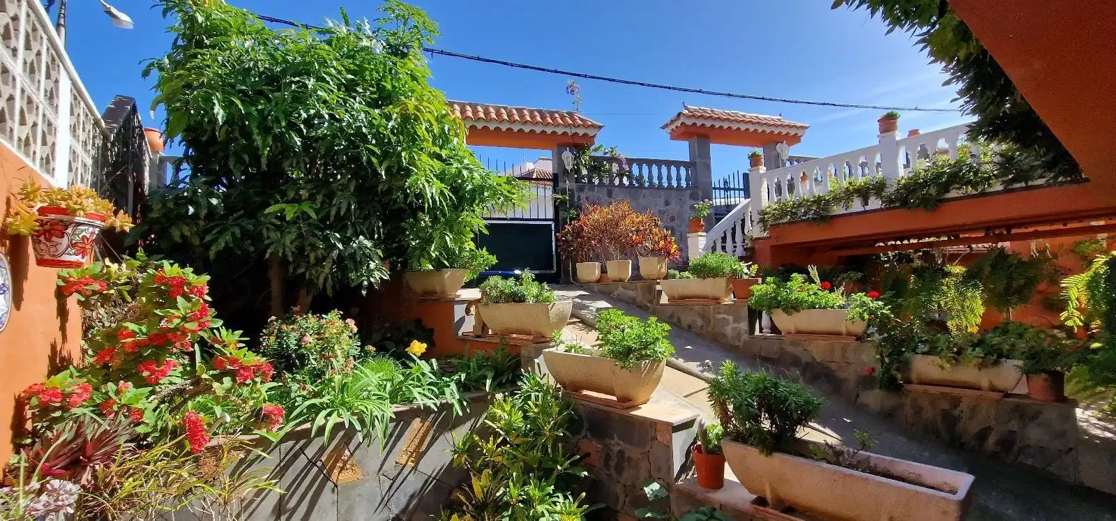 Jardín de Casa o chalet en venta en Firgas con Jardín privado, Piscina y Amueblado