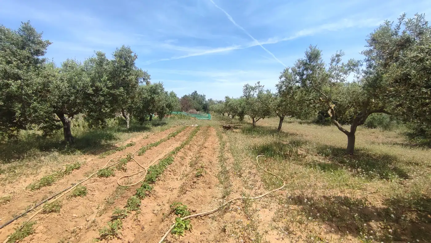 Terreno en venta en Torredembarra