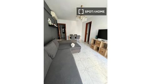 Photo 4 of Room in El Raval, Santa Coloma de Gramenet
