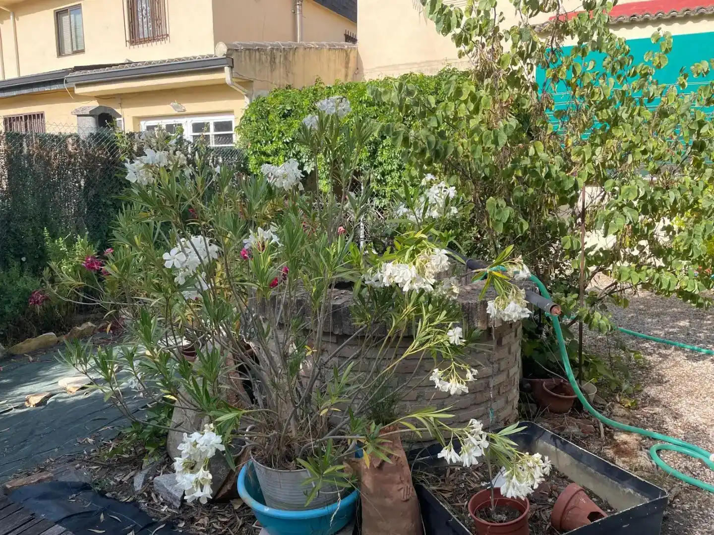 Jardí de Casa o xalet en venda en Collado Villalba amb Piscina