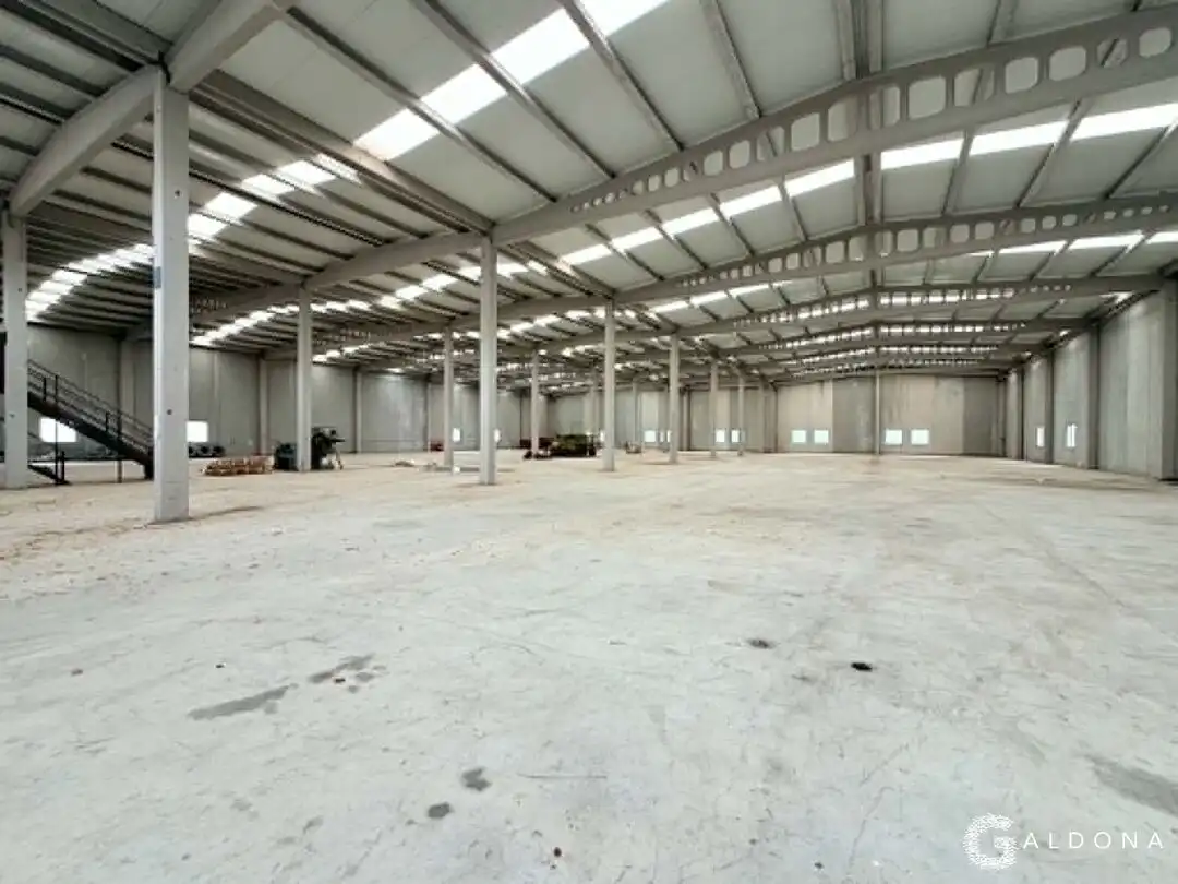 Nau industrial en venda a Etxezarreta Industrialdea Auzoa, imagen 7