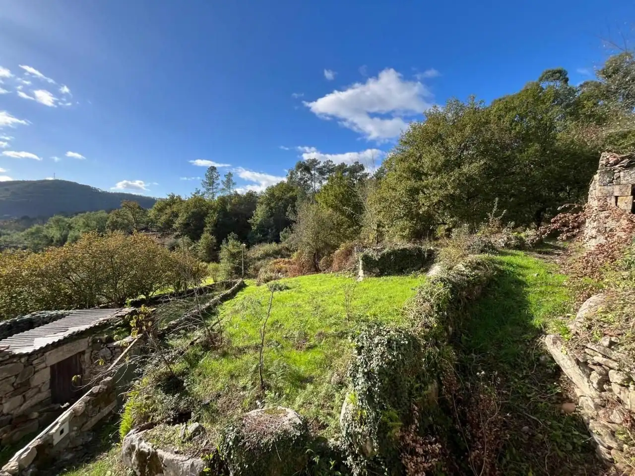 Casa o chalet en venta en San Rosendo