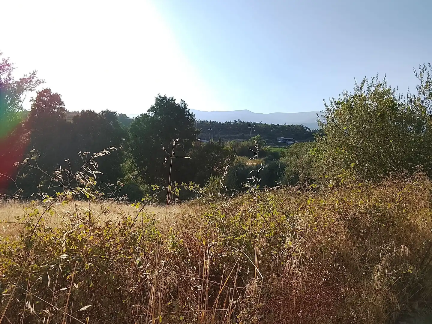 Terreni e lotti in vendita a Villanueva de la Vera, imagen 26