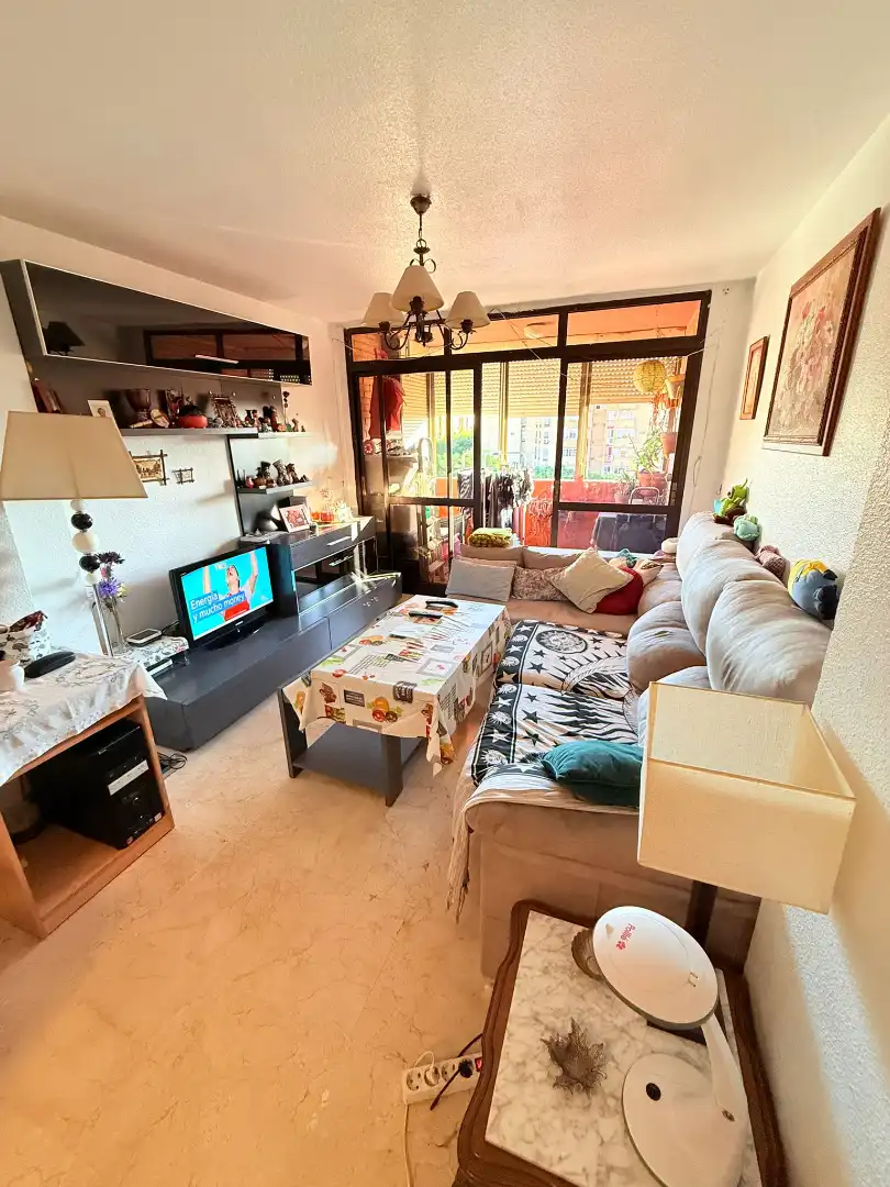 Living room of Flat for sale in Sevilla  with Air Conditioner, Terrace and Furnished