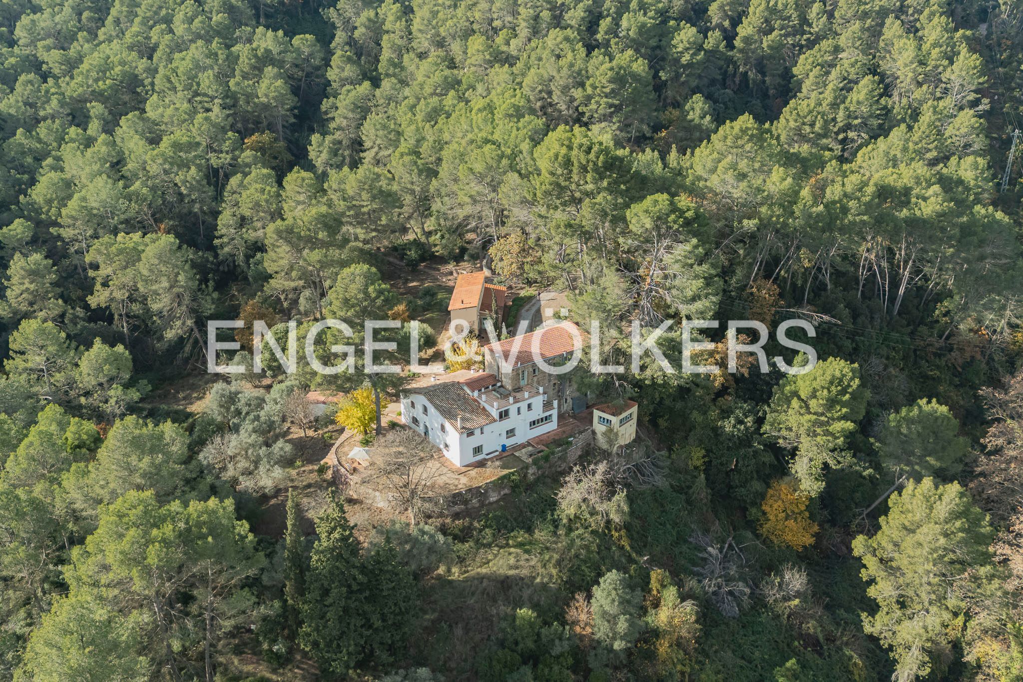 Finca rústica en venta en La Palma de Cervelló