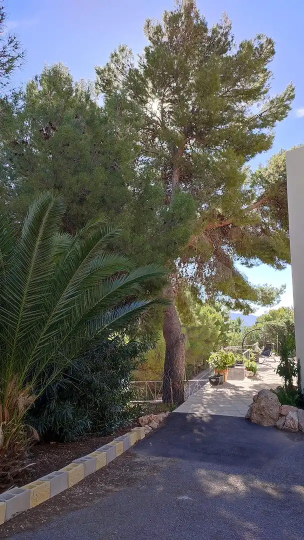 Jardín de Casa o chalet en venta en Altea con Aire acondicionado, Jardín privado y Terraza