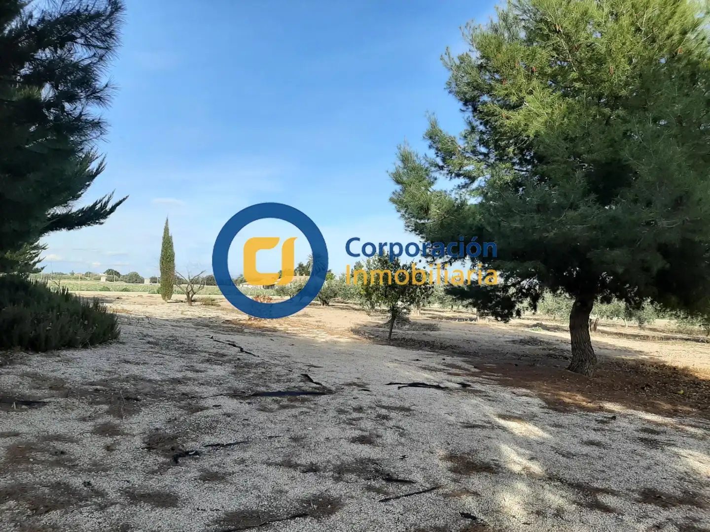 Villa con terrazza in vendita a Pedanías Centro, imagen 12