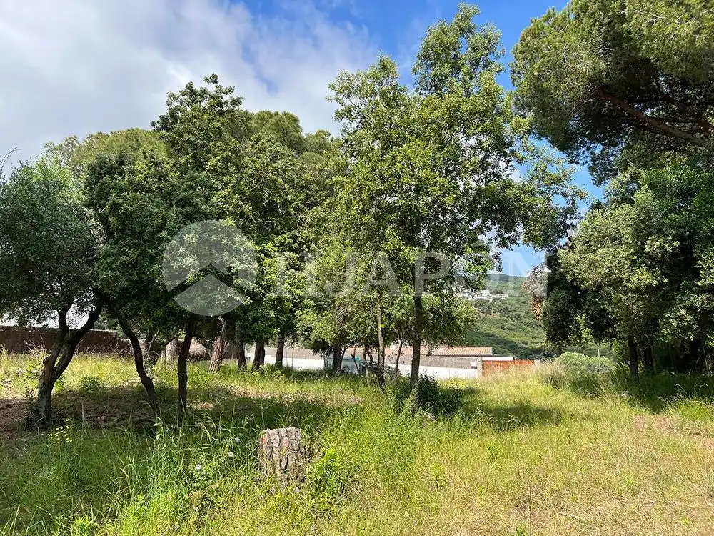 Terreny residencial en venda a El Mirador - La Cornisa, imagen 16