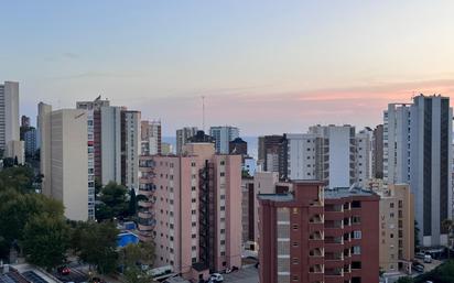 Vista exterior de Estudi en venda en Benidorm amb Aire condicionat