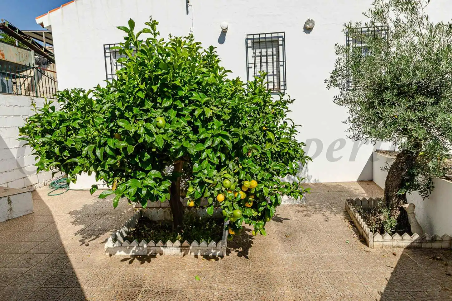 Vista exterior de Casa o xalet en venda en Canillas de Albaida amb Jardí privat, Terrassa i Traster