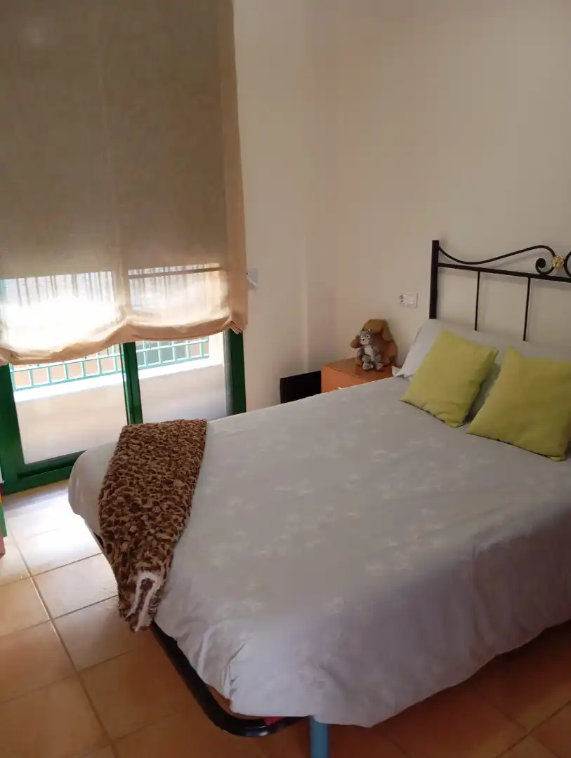 Wohnung mit Terrasse zum Verkauf in Eucaliptus- Poble Nou del Delta, imagen 8