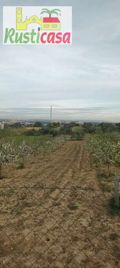 Terreni e lotti in vendita a Sevilleja, imagen 26