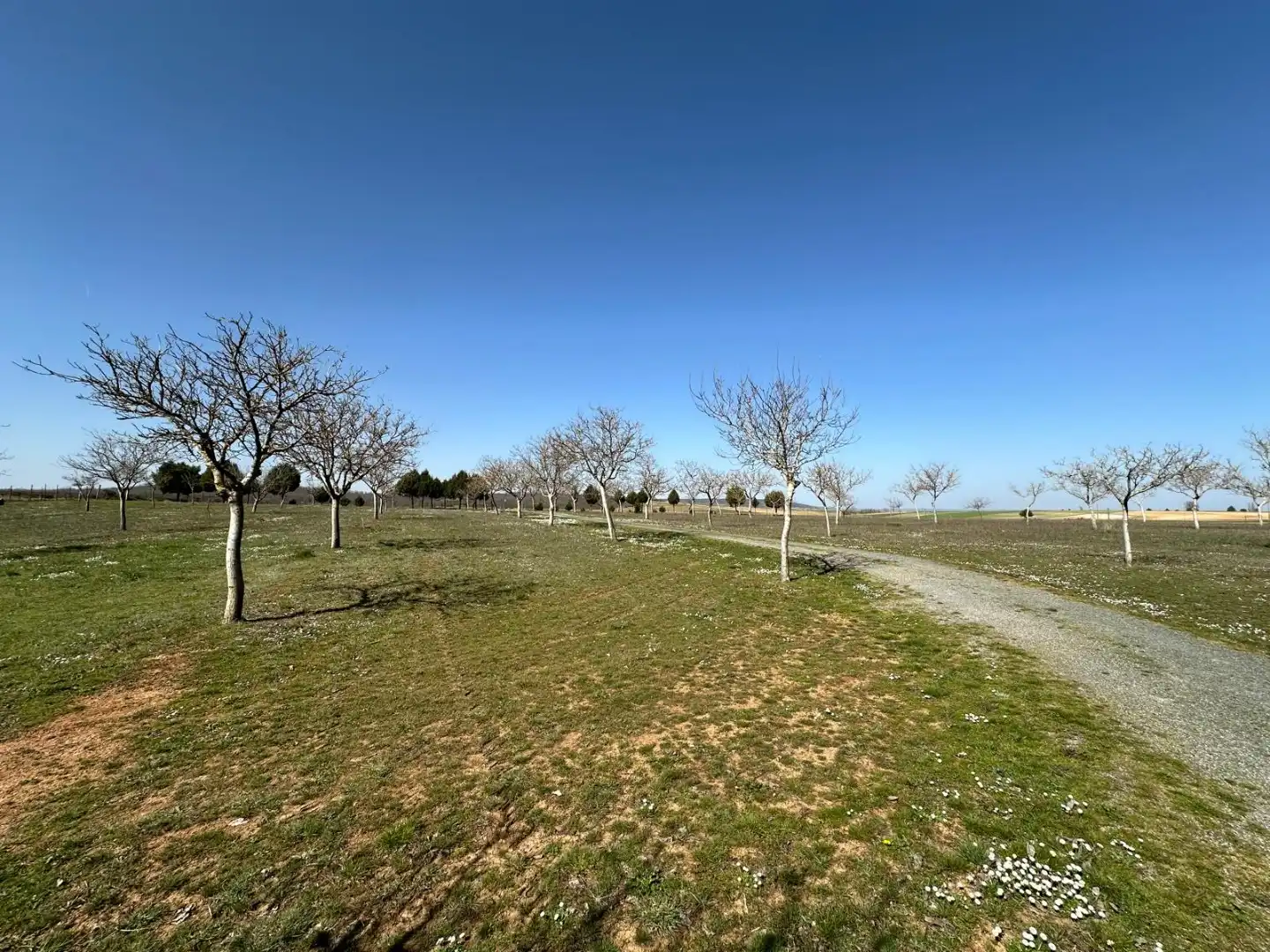 Houses for sale in Arlanzón  with Private garden