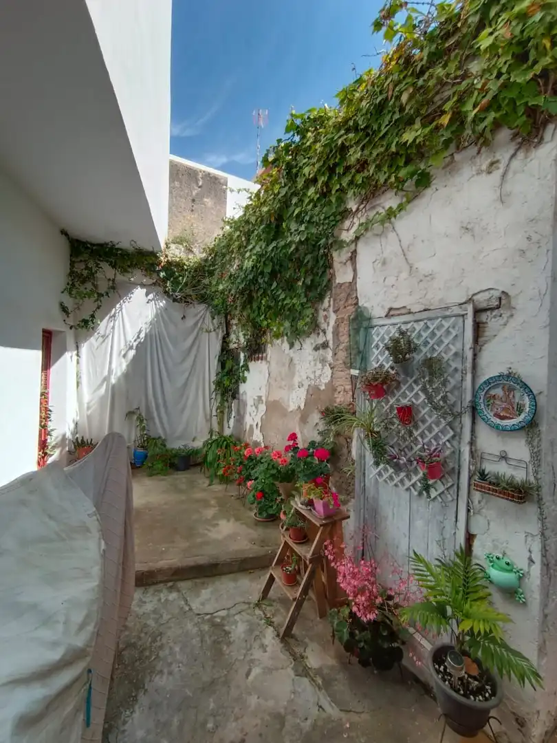 Houses for sale in Calle San Rafael, Centro - La Costilla