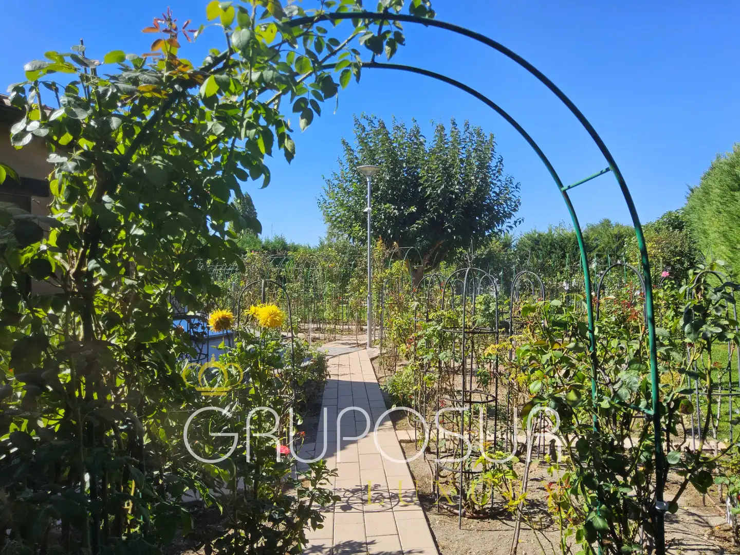 Jardí de Casa o xalet en venda en Boecillo amb Aire condicionat, Calefacció i Jardí privat
