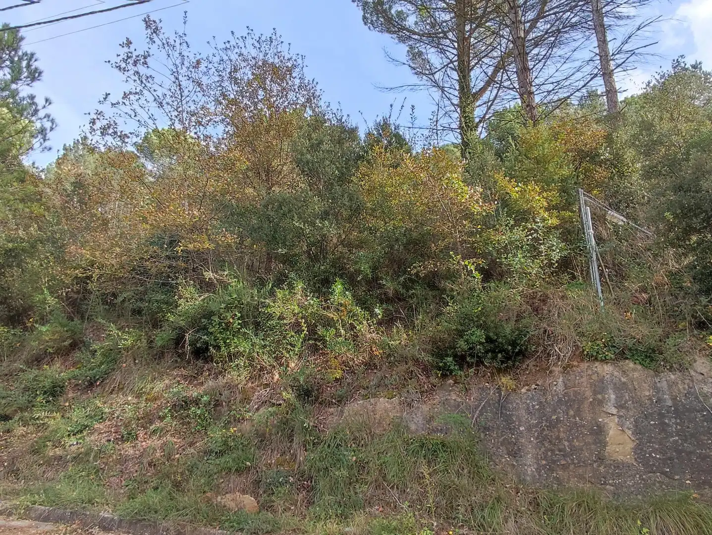Terrain rustique à vendre à Monistrol de Calders