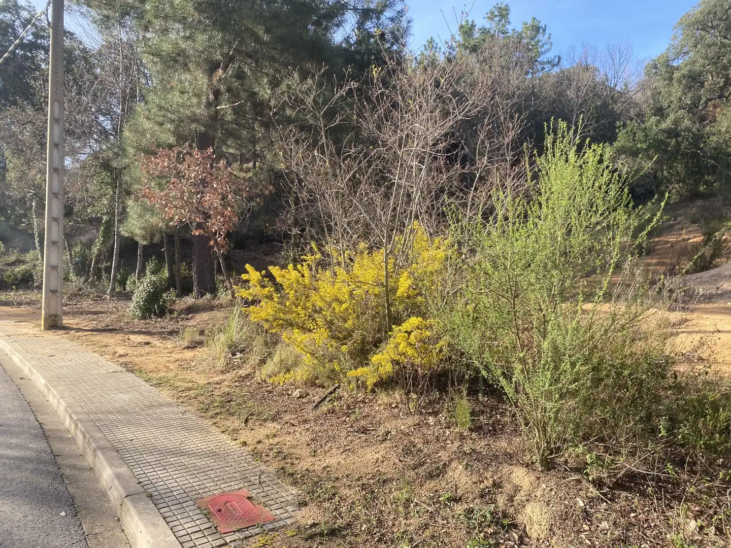 Terreno residencial en venta en Calle Pollancre 28, imagen 15