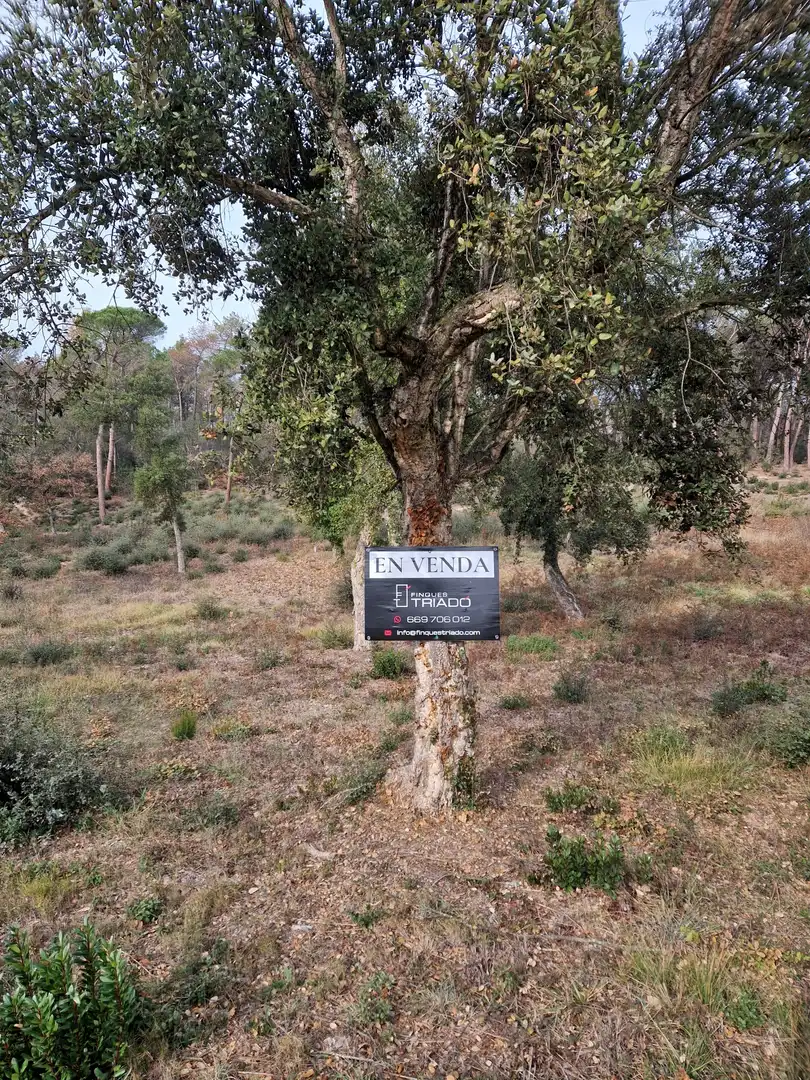 Residential land for sale in Avinguda Catalunya 47, imagen 3
