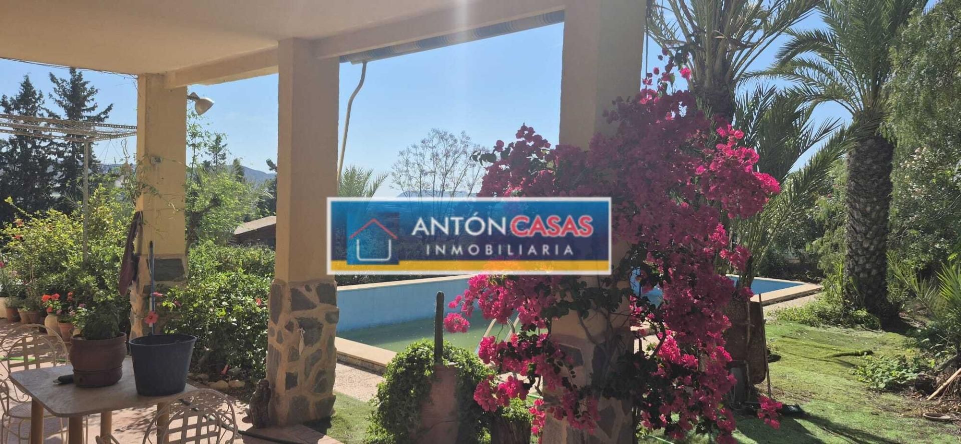 Exterior view of House or chalet for sale in Novelda  with Private garden, Terrace and Swimming Pool