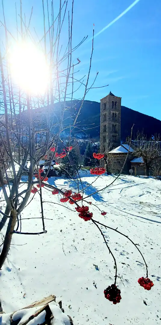 Mini appartamento con terrazza in vendita a La Vall de Boí, imagen 8