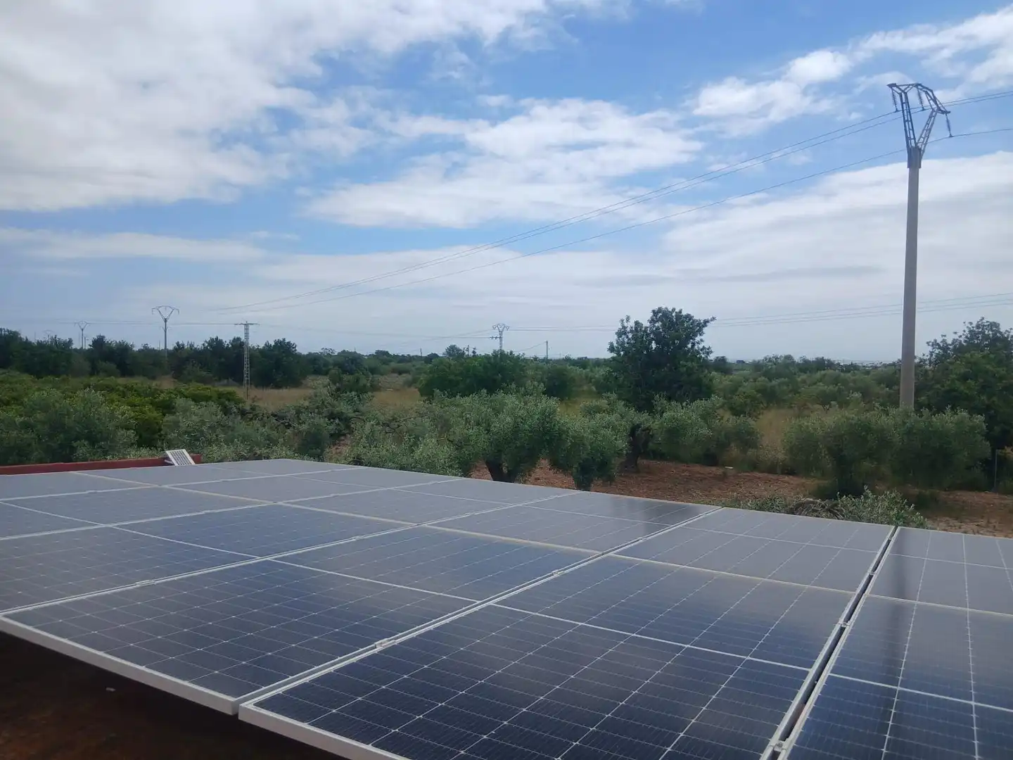 Jardín de Finca rústica en venta en Benicarló con Amueblado y Alarma