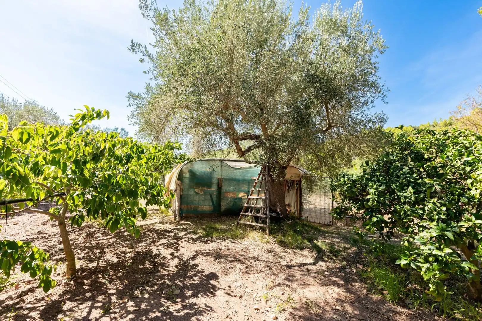 Casa rustica con piscina in vendita a Esporles, imagen 38