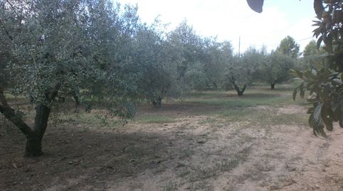 Immagine 1 dell'annuncio