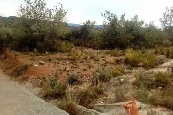 Terreny rústic en venda a San Jorge / Sant Jordi