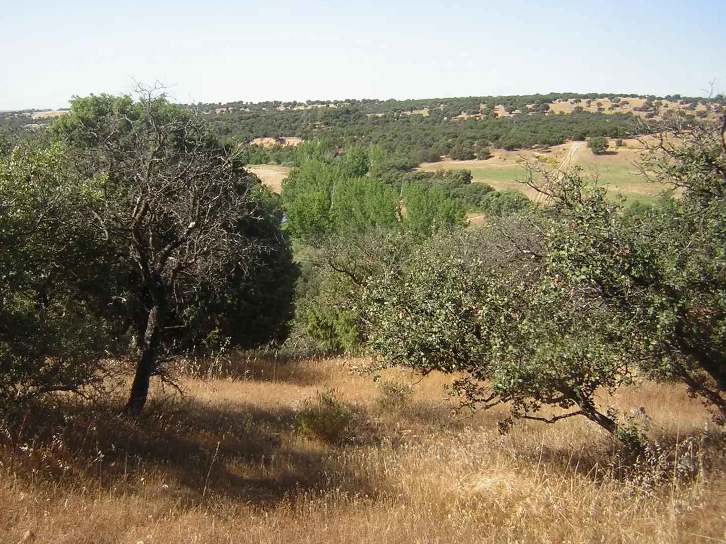 Rural land for sale in Almorox, imagen 6