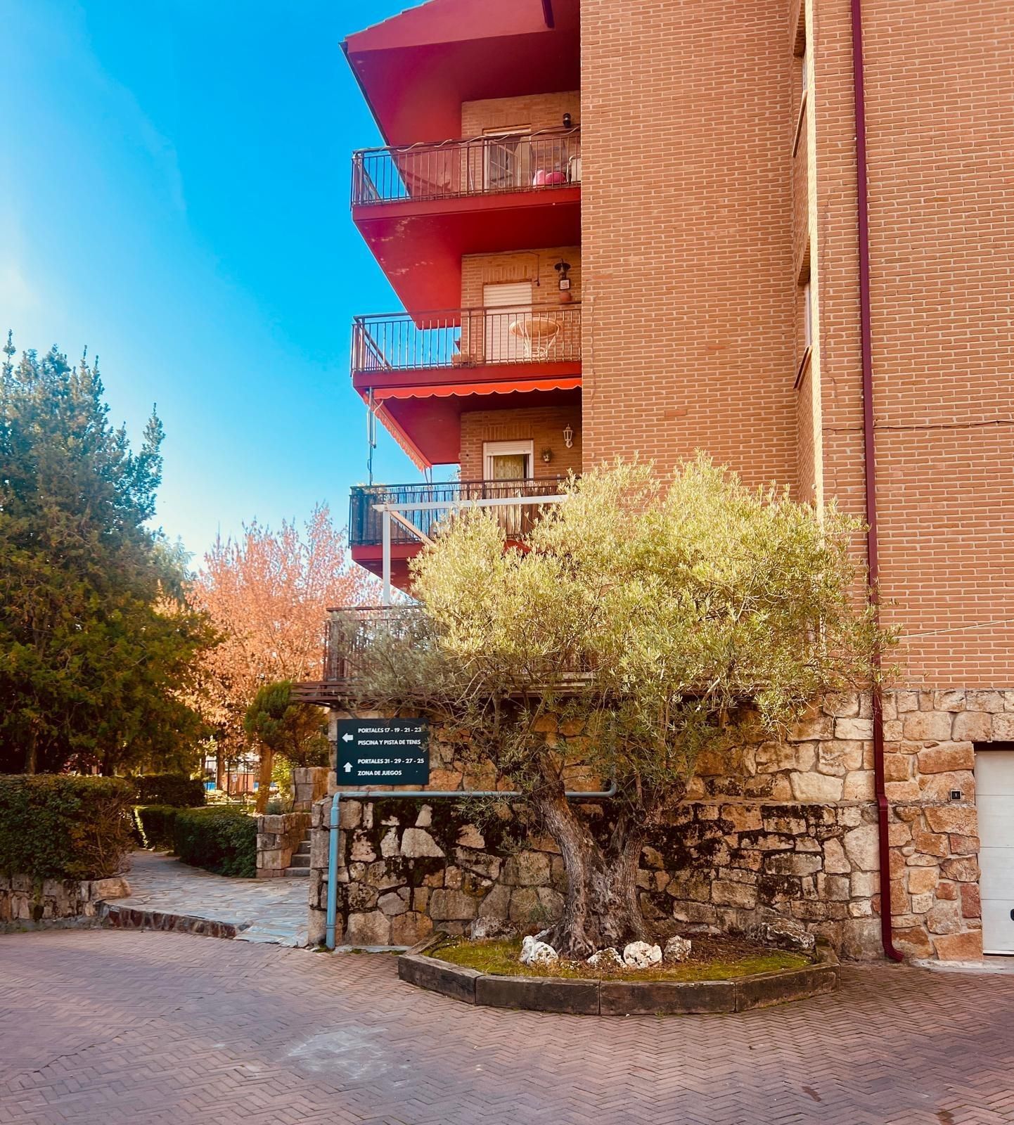Vista exterior de Planta baixa de lloguer en Alpedrete