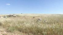 Residential for sale in Horche