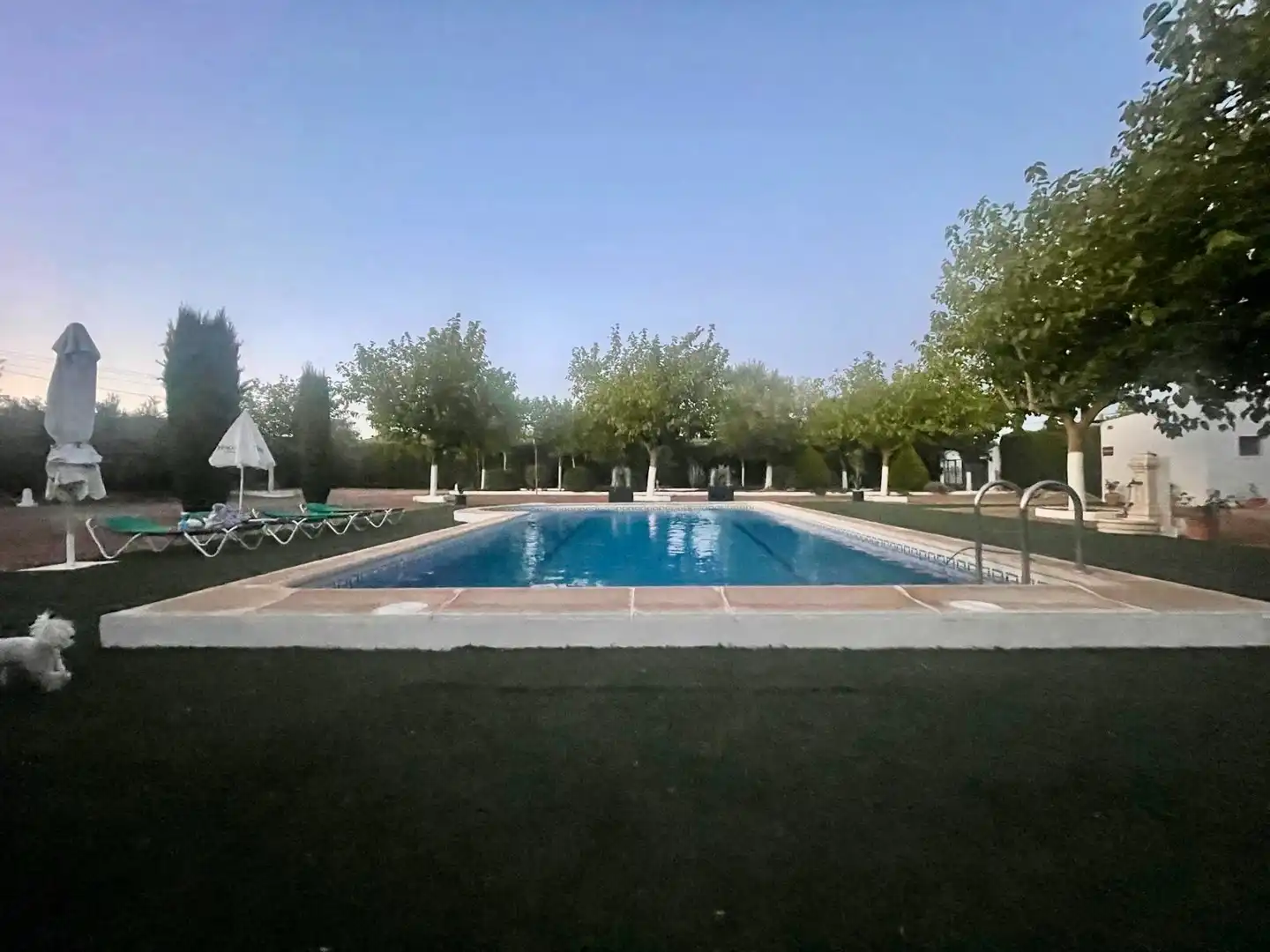 Piscina de Casa o chalet en venta en Villarrubia de los Ojos con Aire acondicionado, Calefacción y Jardín privado