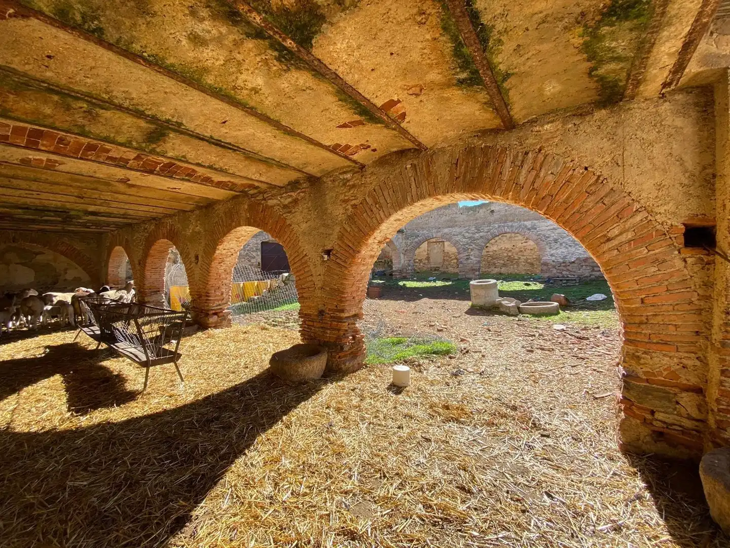 Terreni e lotti in vendita a Casar de Cáceres