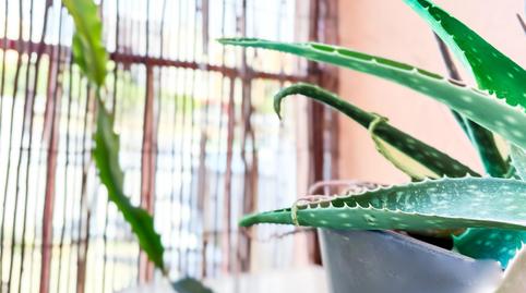 Foto 4 de Pis en venda a San Agustín, Alicante / Alacant