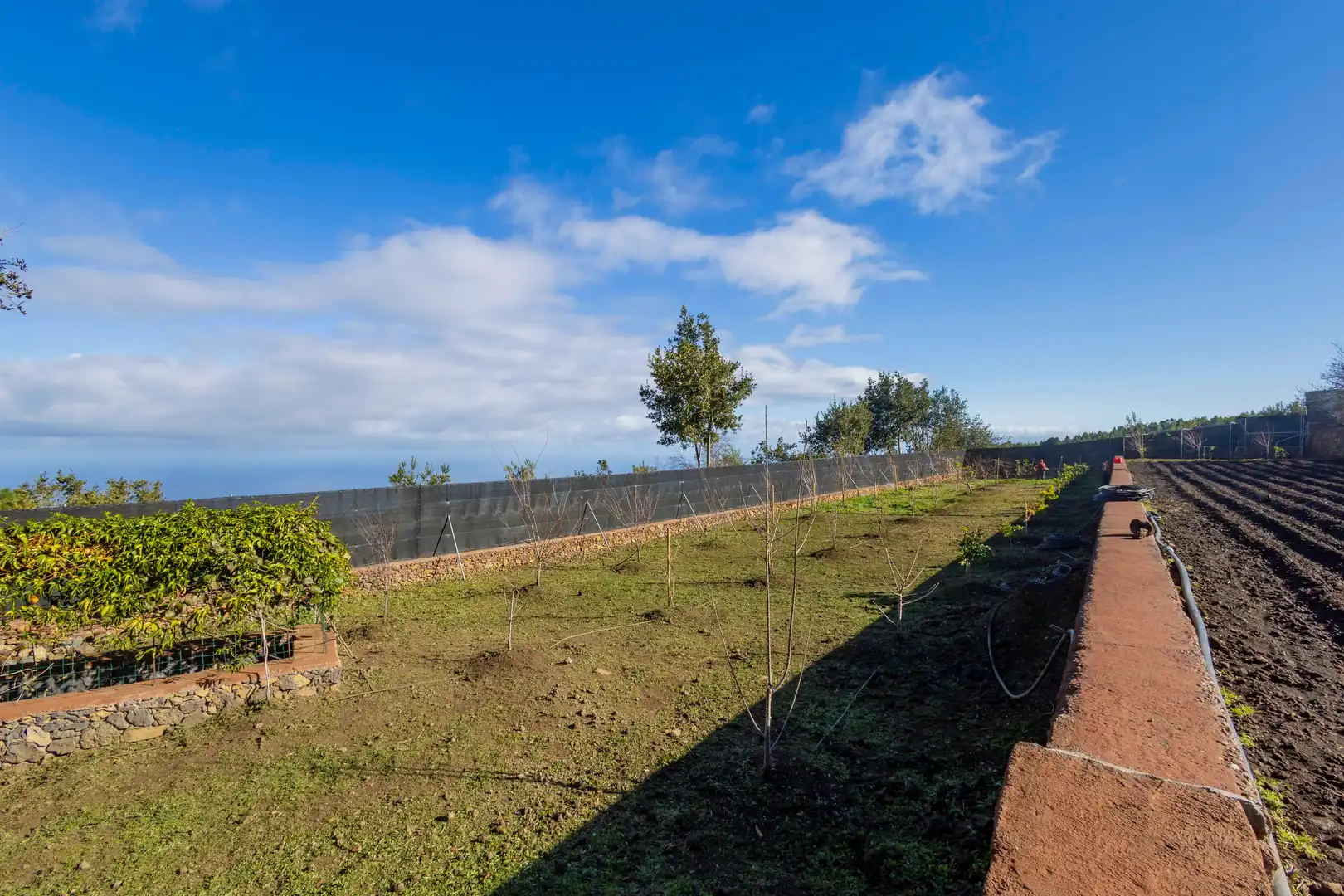 Finca rústica en venda en El Tanque amb Calefacció, Jardí privat i Terrassa