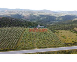Casa o xalet en venda en Castañar de Ibor