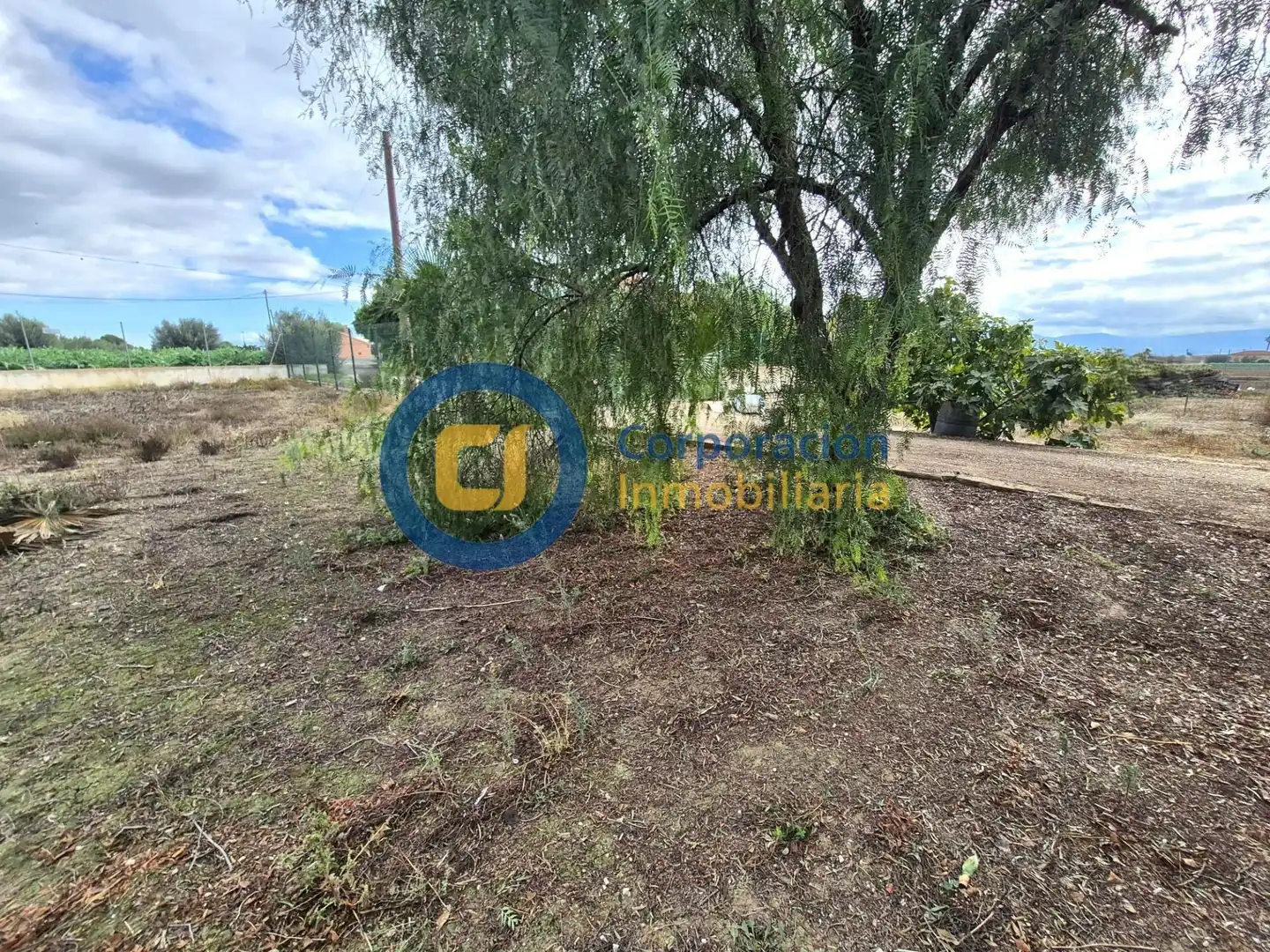 Xalet en venda a Pedanías Centro, imagen 30