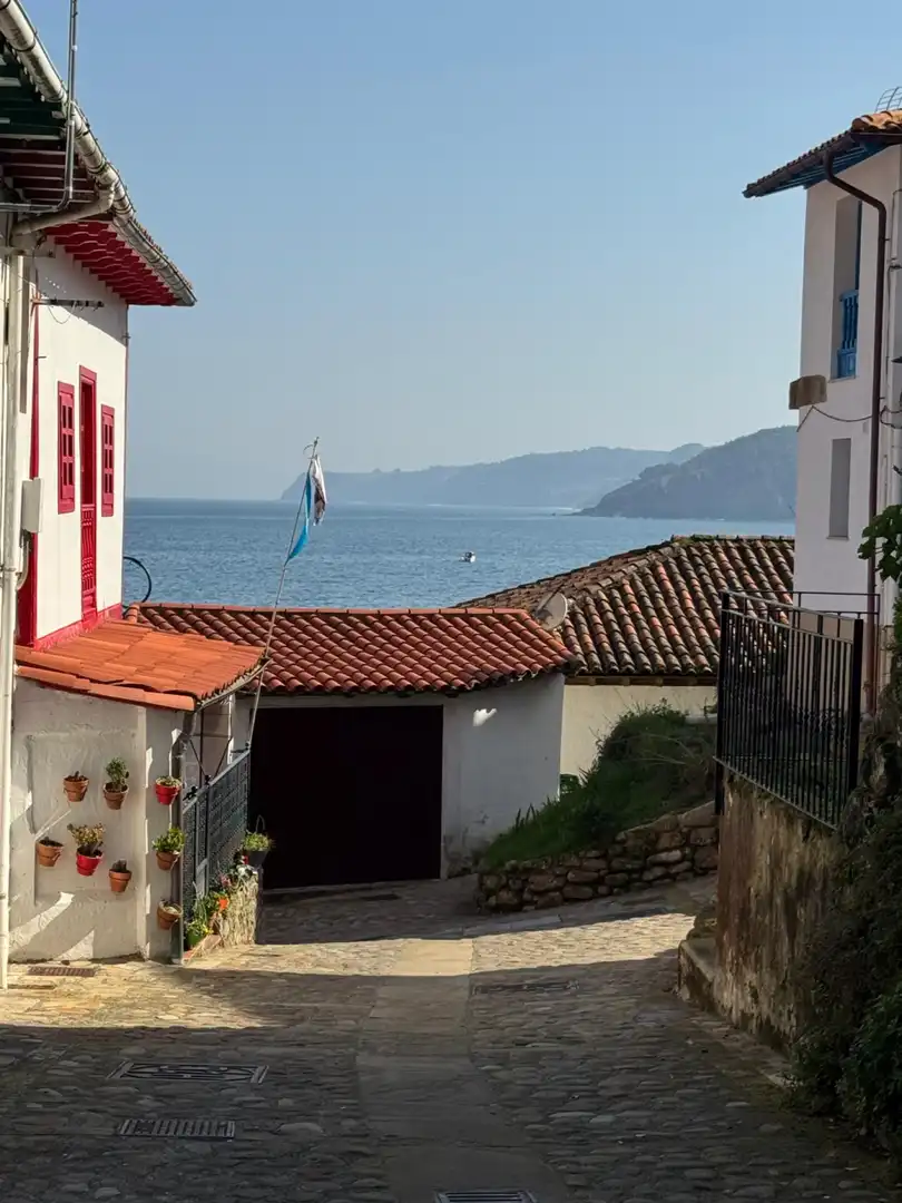 Reihenhaus zum Verkauf in Tazones - BO SAN MIGUEL, imagen 18