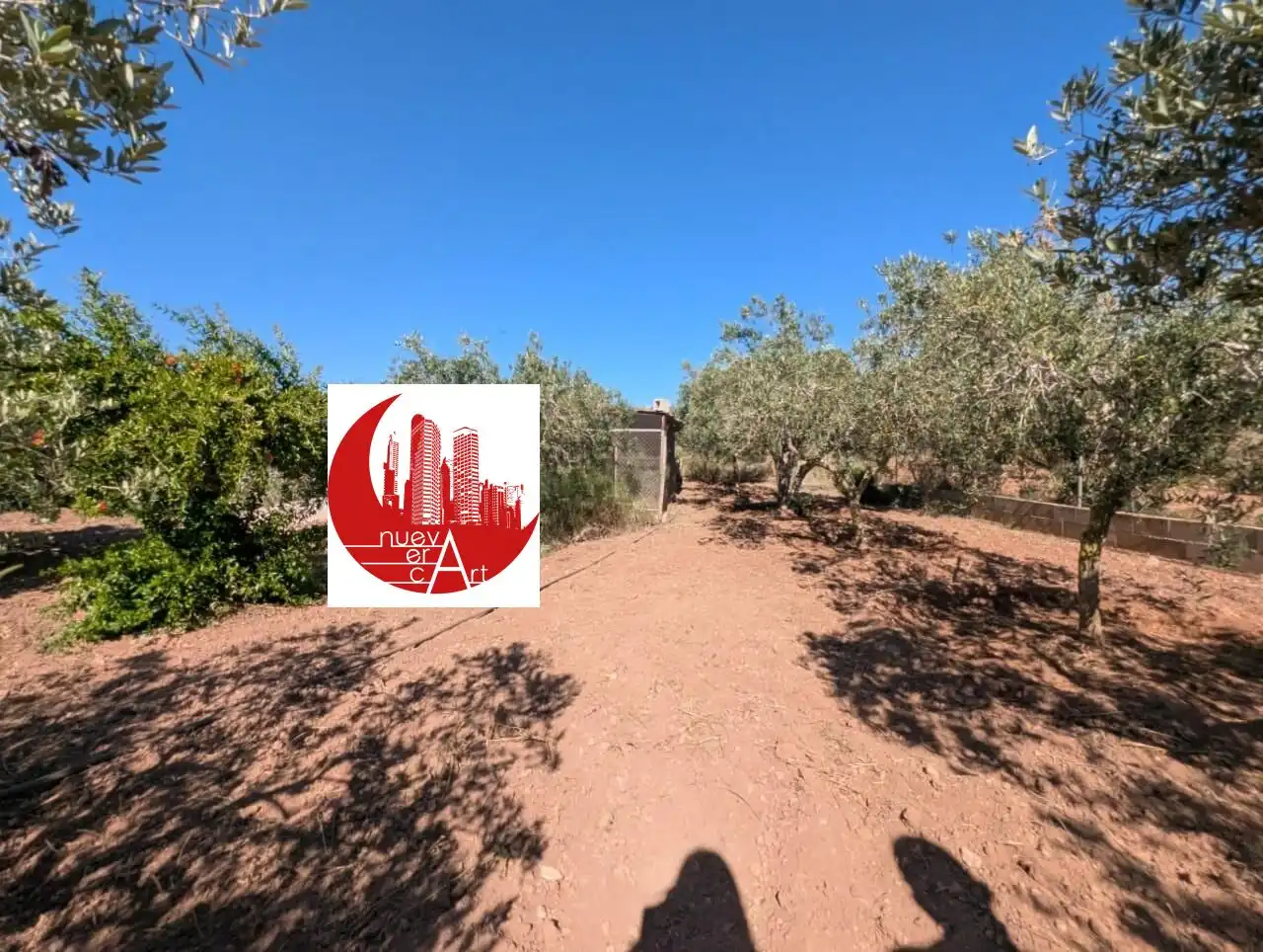 Finca rústica en venda en Fuente Álamo de Murcia