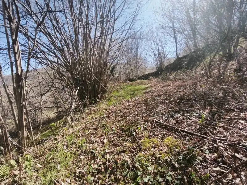 Terreni e lotti in vendita a Rionansa, imagen 19