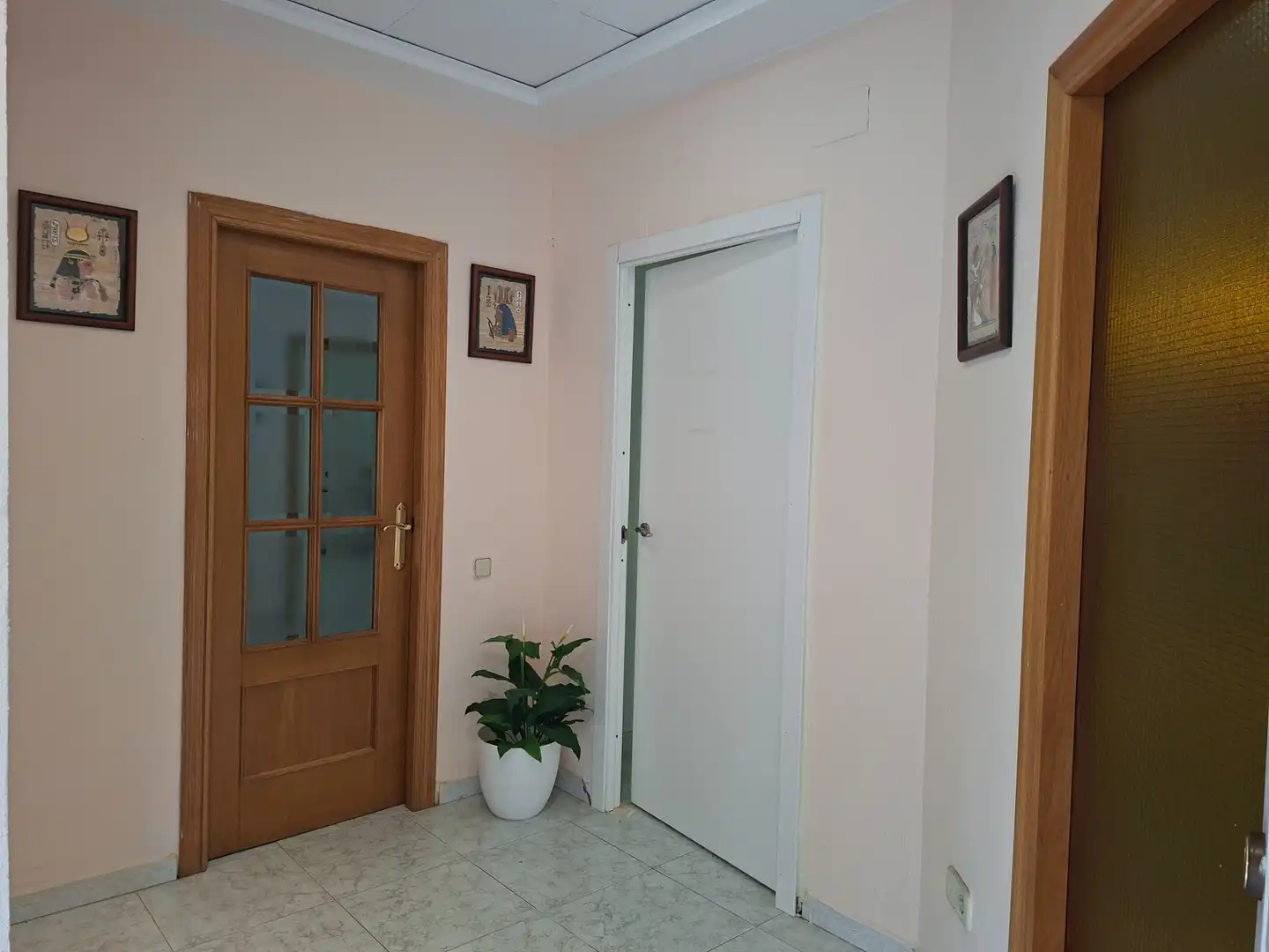 Commercial properties for rent in Valencia, Valencia