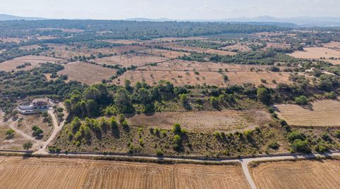 Terreno edificable de 29.547 m² con vistas despejadas en Petra, immagine 4
