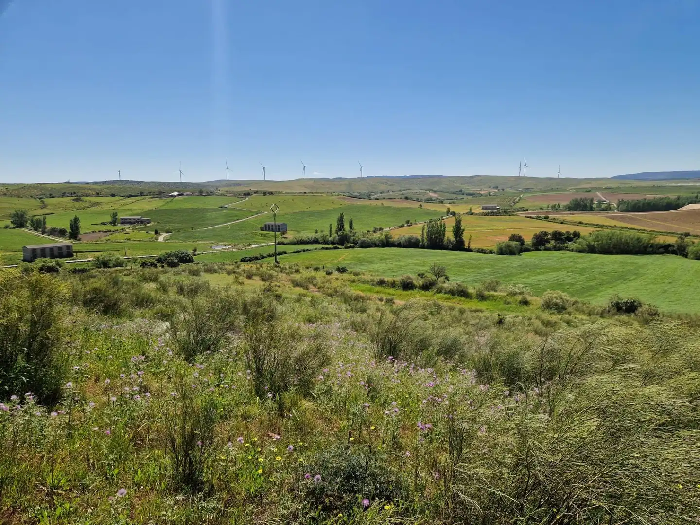 Land for sale in Carretera EX-108, Galisteo