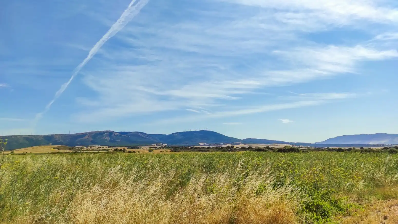 Vista exterior de Terreno en venta en Muruzábal