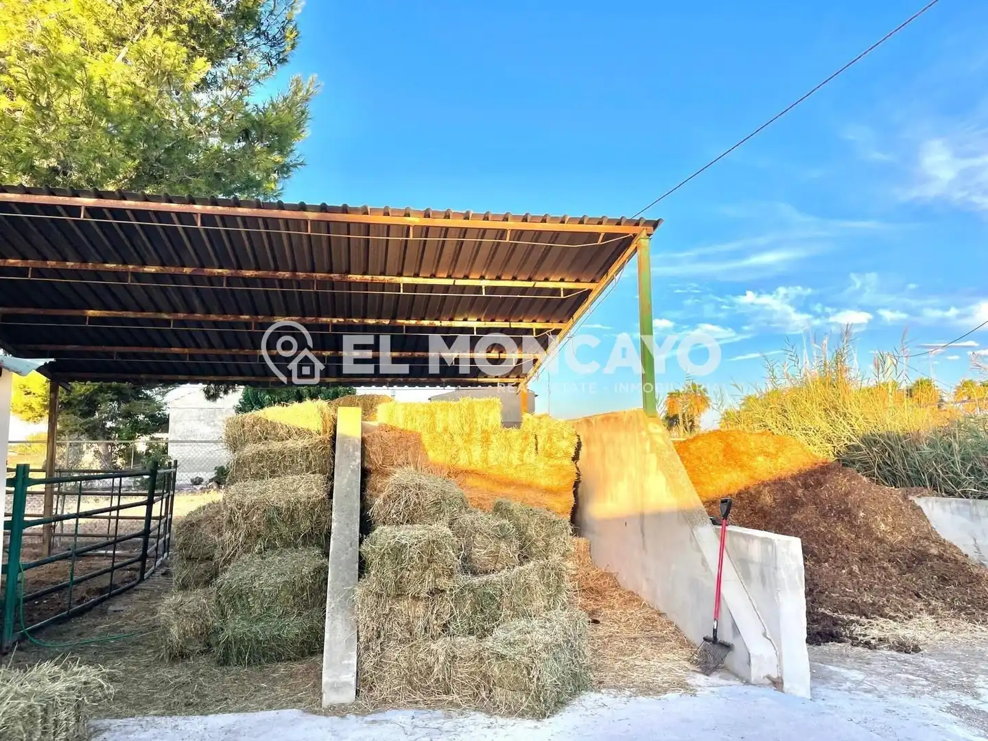 Casa con piscina en venta en Dolores, imagen 10