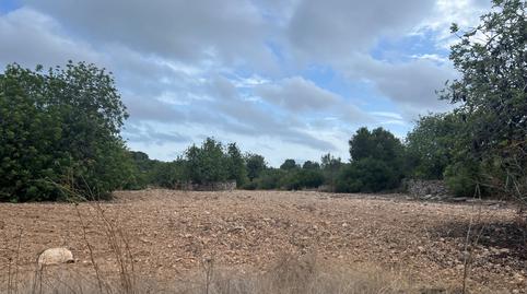 Foto 4 de Residencial en venda a Sant Jordi, Torredembarra