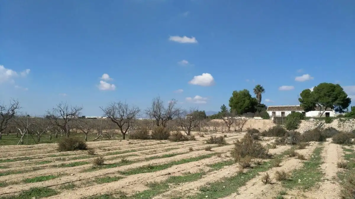 Country homes for sale in Fuente Álamo de Murcia